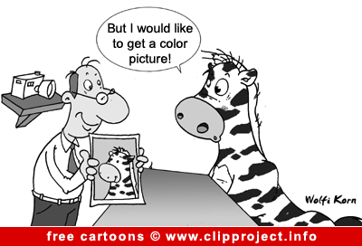 Zebra in photo shop cartoon image for free