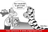 Zebra in photo shop cartoon image for free